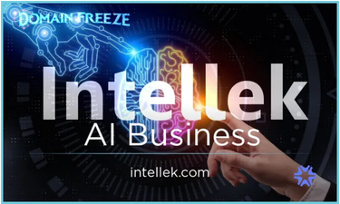 intellek.com is for sale